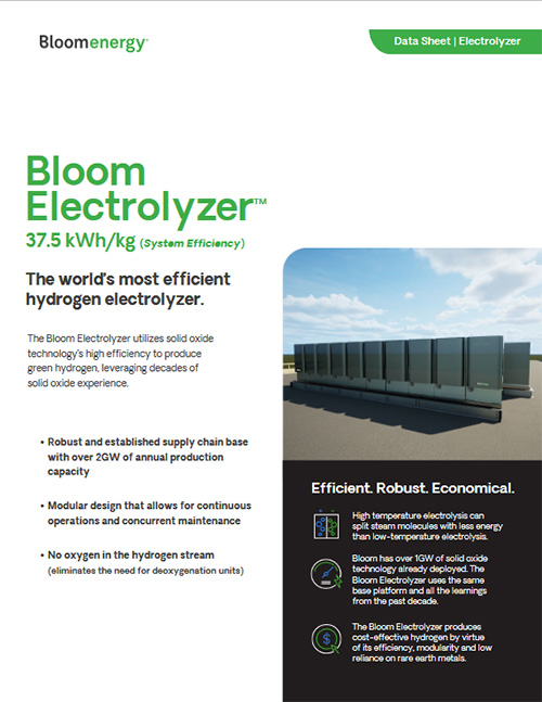 Electrolyzer Data Sheet