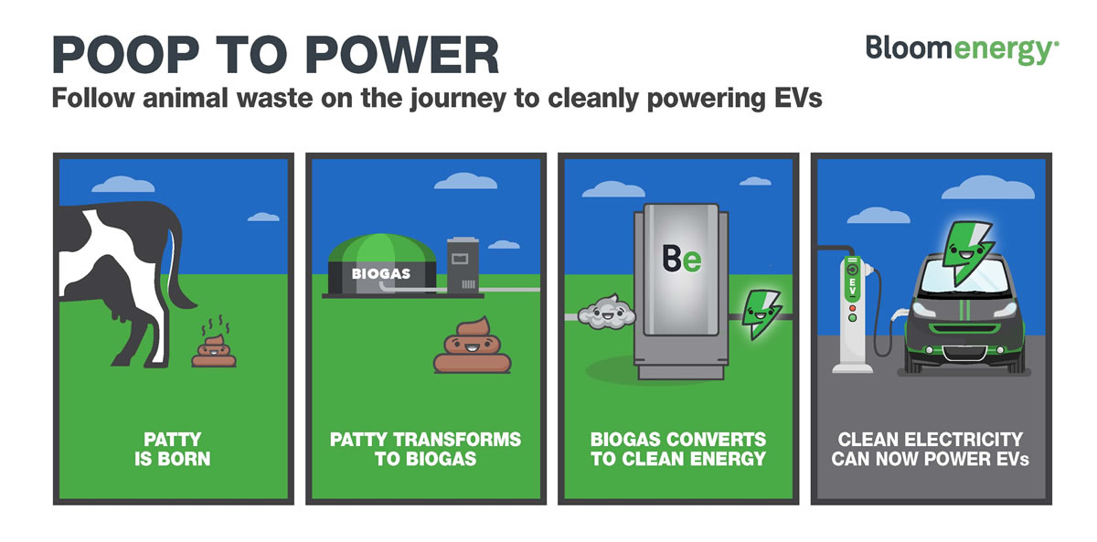 Poop to Power