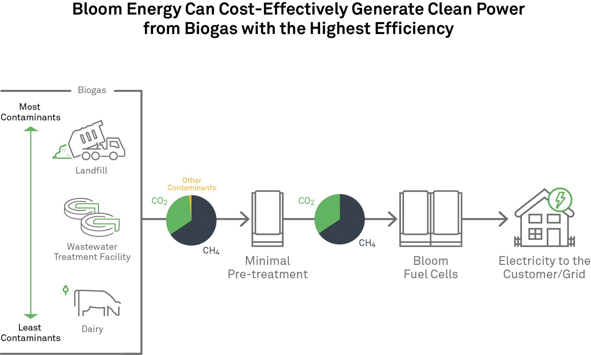 Biogas Bloom Use