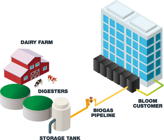 Renewable Biogas